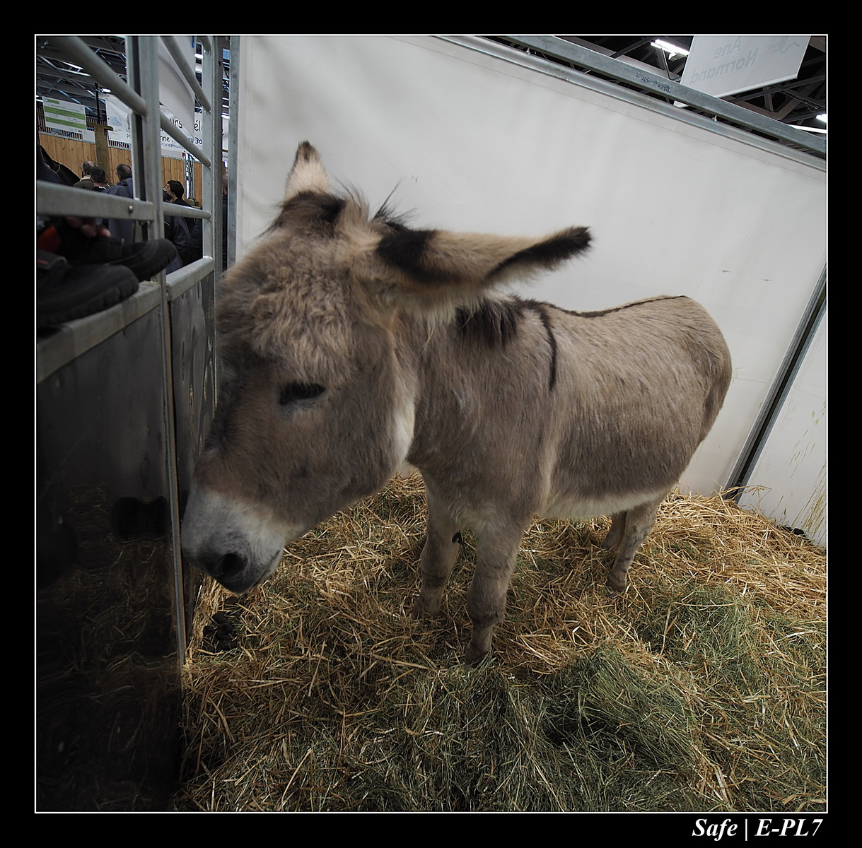 2020 - 02 - Salon agriculture 16